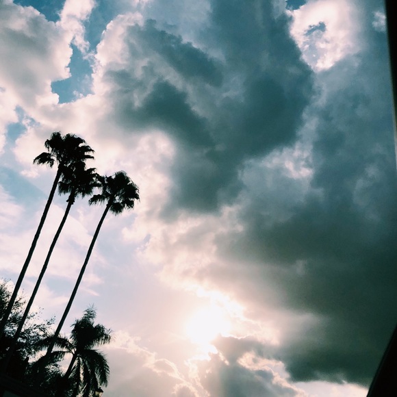 Meet your Posher, Anna - Picture 1 of 1